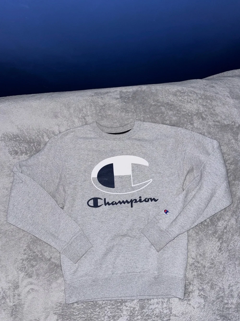 Mens Champion Crewneck Sweatshirt Gray